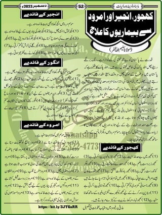 Monthly Khazina-e-Ruhaniyaat December'23 (Vol.14, Issue 8)