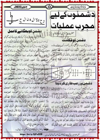 Monthly Khazina-e-Ruhaniyaat Jun'22 (Vol.13, Issue 2)
