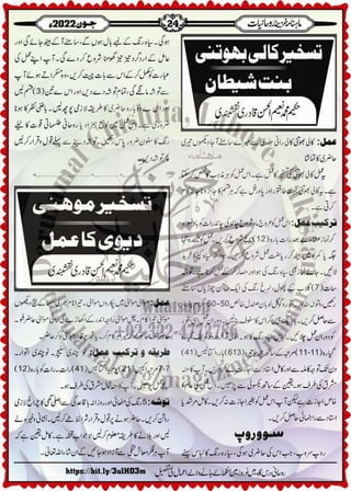 Monthly Khazina-e-Ruhaniyaat Jun'22 (Vol.13, Issue 2)