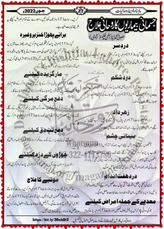 Monthly Khazina-e-Ruhaniyaat Jun'22 (Vol.13, Issue 2)