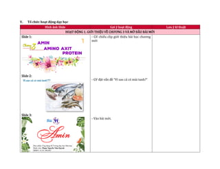 V. Tổ chức hoạt động dạy học
Hình ảnh Slide Gợi ý hoạt động Lưu ý kĩ thuật
HOẠT ĐỘNG 1. GIỚI THIỆU VỀ CHƯƠNG 3 VÀ MỞ ĐẦU BÀI MỚI
Slide 1:
Slide 2:
Slide 3:
- GV chiếu clip giới thiệu bài học chương
mới
- GV đặt vấn đề “Vì sao cá có mùi tanh?”
- Vào bài mới.
 