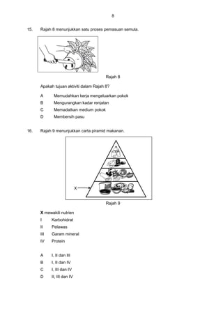 8
15. Rajah 8 menunjukkan satu proses pemasuan semula.
Rajah 8
Apakah tujuan aktiviti dalam Rajah 8?
A Memudahkan kerja mengeluarkan pokok
B Mengurangkan kadar renjatan
C Memadatkan medium pokok
D Membersih pasu
16. Rajah 9 menunjukkan carta piramid makanan.
Rajah 9
X mewakili nutrien
I Karbohidrat
II Pelawas
III Garam mineral
IV Protein
A I, II dan III
B I, II dan IV
C I, III dan IV
D II, III dan IV
X
 