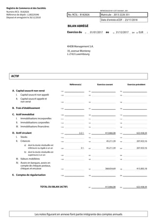 Les notes figurant en annexe font partie intégrante des comptes annuels
WFRVOAX20181123T15435601_001
No. RCSL : Matricule :B182826 2013 2226 351
Date d'entrée eCDF : 23/11/2018
BILAN ABRÉGÉ
Exercice du au (en )01/0101 /2017 31/12/201702 EUR03
KHDB Management S.A.
35, avenue Monterey
L-2163 Luxembourg
ACTIF
Référence(s) Exercice courant Exercice précédent
A. Capital souscrit non versé 1101 101 102
I. Capital souscrit non appelé 1103 103 104
II. Capital souscrit appelé et
non versé 1105 105 106
B. Frais d’établissement 1107 107 108
C. Actif immobilisé 1109 109 110
I. Immobilisations incorporelles 1111 111 112
II. Immobilisations corporelles 1125 125 126
III. Immobilisations financières 1135 135 136
D. Actif circulant 2.2.1.1151 413.866,08151 622.438,34152
I. Stocks 1153 153 154
II. Créances 1163 45.211,39163 207.433,16164
a) dont la durée résiduelle est
inférieure ou égale à un an 3.1.1203 45.211,39203 207.433,16204
b) dont la durée résiduelle est
supérieure à un an 1205 205 206
III. Valeurs mobilières 1189 189 190
IV. Avoirs en banques, avoirs en
compte de chèques postaux,
chèques et encaisse 1197 368.654,69197 415.005,18198
E. Comptes de régularisation 1199 199 200
TOTAL DU BILAN (ACTIF) 413.866,08201 622.438,34202
Registre de Commerce et des Sociétés
Numéro RCS : B182826
Référence de dépôt : L180229346
Déposé et enregistré le 26/11/2018
 