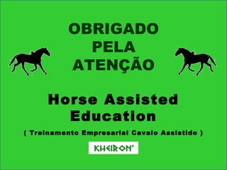 TESTANDO O NOVO JOGO DE CAVALO - The Horse Project 