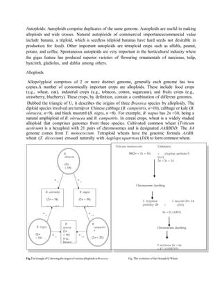 Advance Plant Breeding Techniques | PDF