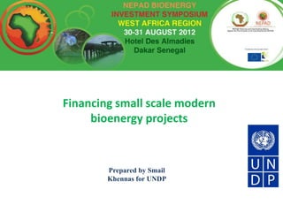 Financing small scale modern
     bioenergy projects



        Prepared by Smail
        Khennas for UNDP
 