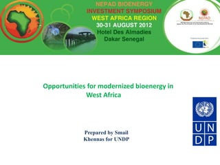 Opportunities for modernized bioenergy in
             West Africa




            Prepared by Smail
            Khennas for UNDP
 