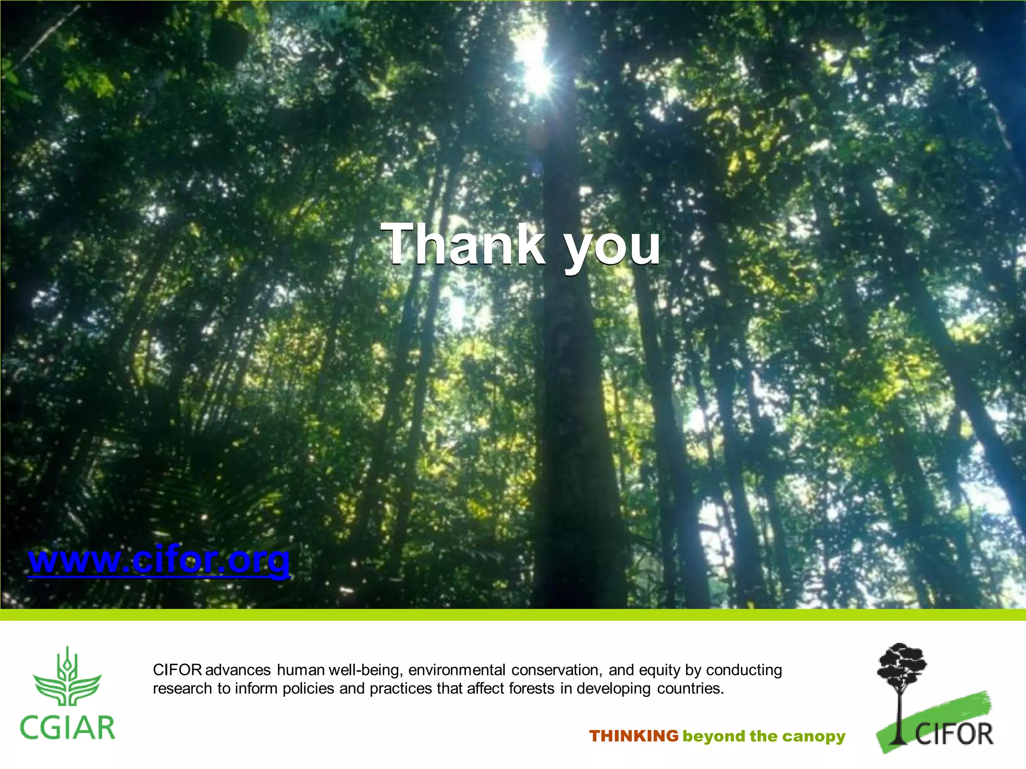 Thank you




www.cifor.org

      CIFOR advances human well-being, environmental conservation, and equity by conducting
      research to inform policies and practices that affect forests in developing countries.


                                                                 THINKING beyond the canopy
 