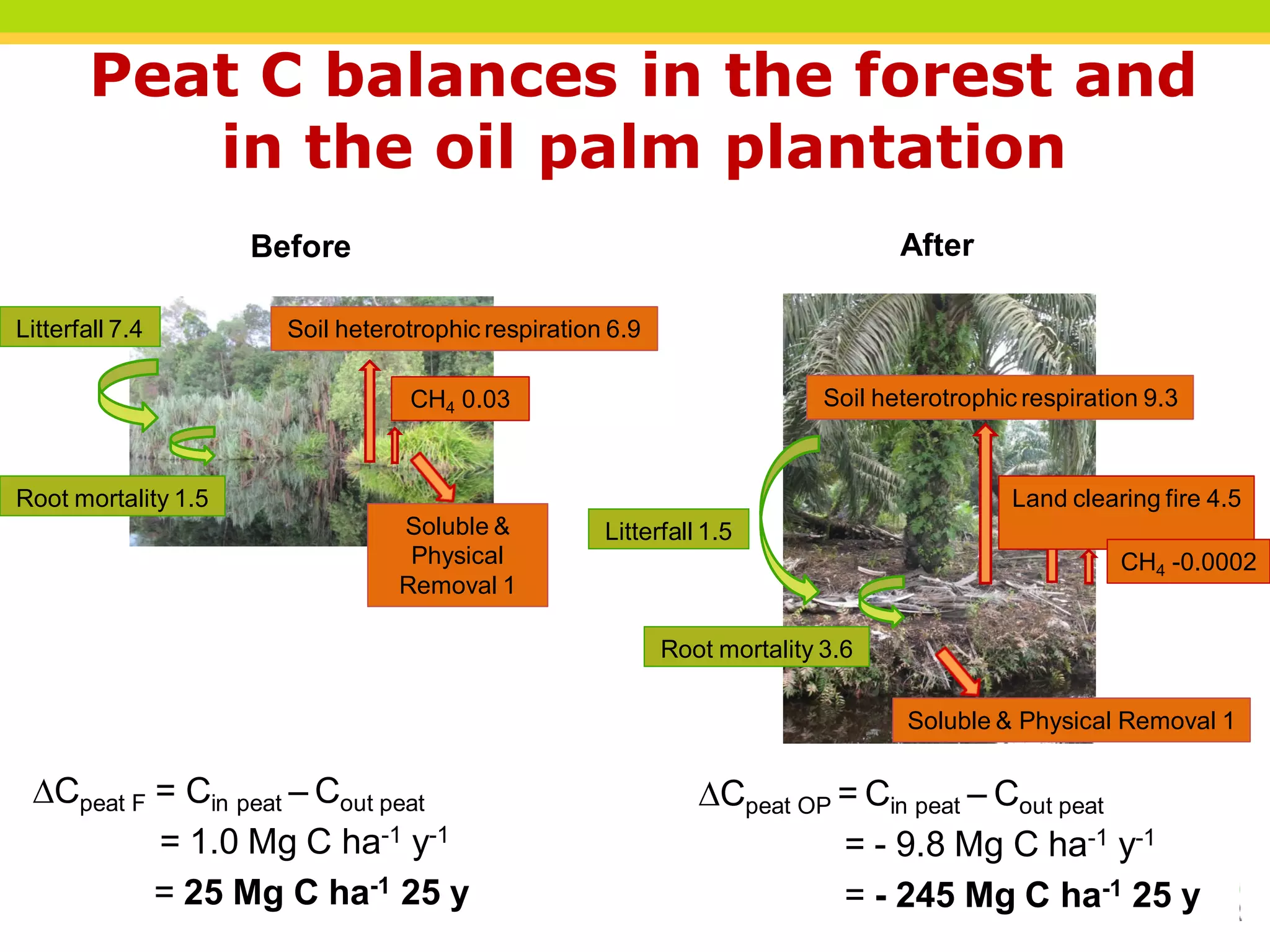 Peat C balances in the forest and
           in the oil palm plantation
                     Before                                                       After

Litterfall 7.4         Soil heterotrophic respiration 6.9

                                  CH4 0.03                                 Soil heterotrophic respiration 9.3



Root mortality 1.5                                                                           Land clearing fire 4.5
                                 Soluble &           Litterfall 1.5
                                  Physical                                                             CH4 -0.0002
                                 Removal 1

                                                            Root mortality 3.6

                                                                                   Soluble & Physical Removal 1

 Cpeat F = Cin peat – Cout peat                               Cpeat OP = Cin peat – Cout peat
          = 1.0 Mg C ha-1 y-1                                            = - 9.8 Mg C ha-1 y-1
          = 25 Mg C ha-1 25 y                                            =THINKING Mg C ha-1 25 y
                                                                           - 245 beyond the canopy
 
