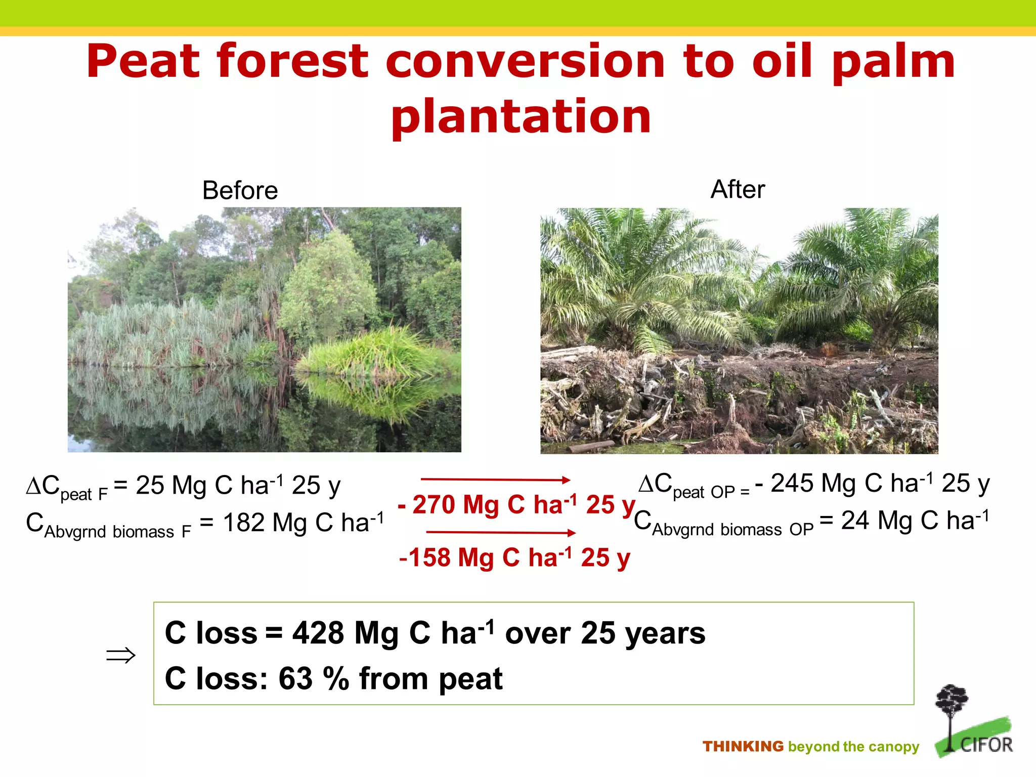 Peat forest conversion to oil palm
                 plantation
                Before                                         After




Cpeat F = 25 Mg C ha-1 25 y                             Cpeat OP = - 245 Mg C ha-1 25 y
                                   - 270 Mg C ha -1 25 y
CAbvgrnd biomass F = 182 Mg C ha-1                      CAbvgrnd biomass OP = 24 Mg C ha-1
                                   -158 Mg C ha-1 25 y

         C loss = 428 Mg C ha-1 over 25 years
       
         C loss: 63 % from peat
                                                               THINKING beyond the canopy
 