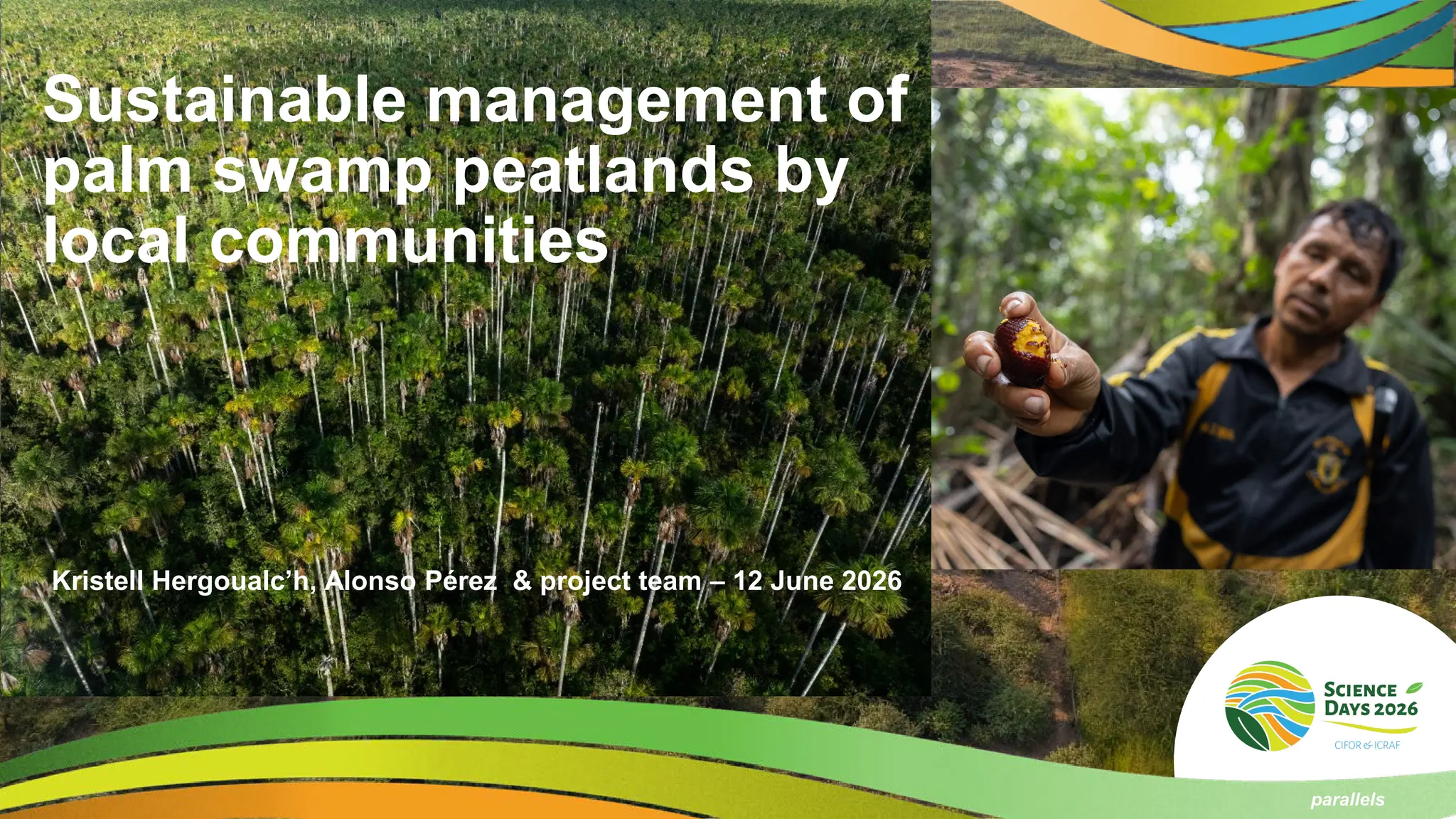 thumbnail of Sustainable management of palm swamp peatlands by local communities