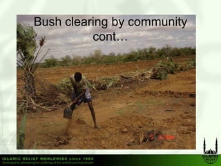 Bush clearing by community
          cont…
 