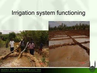 Irrigation system functioning
 