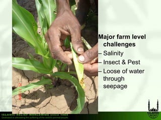 Major farm level
  challenges
– S li it
  Salinity
– Insect & Pest
– Loose of water
  through
  seepage
 