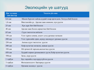 Эволюцийн үе шатууд
Цаг хугацаа
сая жилээр

Үндсэн үйл явц



0,4 сая

Мөсөн бүрхэвч хайлж,хуурай газар өргөгдсөн. Хотууд бий болсон

1,8 сая

Мөстлөгийн үе . Арслан заан сөнөсөн, хүн үүссэн

25 сая

Хүн дүрс бич бий болсон

40 сая

Арслан заан болон сармагчин бий болсон

65 сая

Сүүн тэжээлтэн ноёлсон

150 сая

Үлэг гүрвэл сөнөж, цэцэгт дээд ургамал хөгжсөн

200 сая

Үлэг гүрвэлийн эрин ,шувуу шилмүүст ургамал үүссэн

250 сая

Анхны сүүн тэжээлтэн үүссэн

300 сая

Хоёр нутагтан хөгжсөн, шавьж үүссэн

350 сая

Ой эрчимтэй тархсан,мөлхөгчид үүссэн

450 сая

Хуурай газрын ургамалжилт үүсэн.Хоёр нутагтан үүссэн.

500сая

Загас, шүр үүссэн

1 тэрбум

Бүх төрлийн сээр нуруугүйтэн үүссэн

3 тэрбум

Фотосинтезлэгч бактериуд үүссэн

4 тэрбум

Органик молекул үүссэн

 