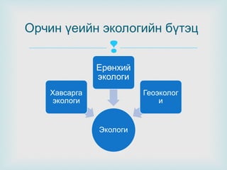 Орчин үеийн экологийн бүтэц



 