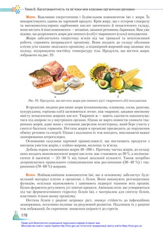 Тема 6. Багатоманітність та зв’язки між класами органічних речовин
178
Жири. Важливим енергетичним і будівельним компонентом їжі є жири. Їх
використовують здавна як харчовий продукт. Крім жиру, що є естером гліцеролу
та високомолекулярних карбонових кислот насиченого й ненасиченого складу,
вони містять й інші компоненти — вітаміни, запашні речовини, барвники. Вам уже
відомо, що розрізняють жири рослинного (олії) і тваринного (сало) походження.
Жири забезпечують енергетику м’язів під час тривалої та неінтенсивної
роботи, сприяють витривалості організму. Вони входять до складу оболонки
клітин усіх тканин людського організму, а підшкірний жировий шар захищає від
холоду, підтримуючи постійну температуру тіла. Продукти, що містять жири,
зображено на рис. 95.
В організмі людини рослинні жири (соняшникова, оливкова, соєва, рапсова,
кукурудзяна, горіхова олії) засвоюються легше, ніж тваринні, завдяки високому
вмісту ненасичених жирних кислот. Тваринні ж — мають здатність накопичува-
тися під шкірою та у внутрішніх органах. Однак не варто повністю уникати тва-
ринних жирів, адже вони є головним джерелом холестерину, який бере участь у
синтезі багатьох гормонів. Нестача жирів в організмі призводить до порушення
обміну речовин та енергії. Однак і надлишок їх теж шкодить, викликаючи важке
захворювання атеросклероз.
Основними галузями харчової промисловості, що постачають продукти з
високим умістом жирів, є олійно-жирова, молочна та м’ясна.
Добова норма споживання жирів 40–100 г. Причому частка жирів, до складу
яких входять мононенасичені жирні кислоти, має становити до 50 %, а полінена-
сичені й насичені — 25–30 % від їхньої загальної кількості. Також потрібно
дотримуватися правильного співвідношення між рослинними (30–40 %) і тва-
ринними (70–60 %) жирами.
Білки. Найважливішим компонентом їжі, що в основному забезпечує буді-
вельний матеріал клітин в організмі, є білки. Вони виконують регенеративну
функцію, оскільки відновлюють і замінюють відмерлі тканини всіх органів.
Білки-ферменти регулюють усі хімічні процеси. Амінокислоти, що утворюються
під час ферментативного гідролізу білків їжі, є матеріалом для синтезу білків,
властивих тільки цьому організму.
Нестача білків у раціоні затримує ріст, знижує стійкість до інфекційних
захворювань, негативно впливає на розумовий розвиток. Надлишок їх у раціоні
теж небажаний, бо спричиняє зниження опірності до стресів. 
Рис. 95. Продукти, що містять жири рослинного (а) і тваринного (б) походження
а б
Право для безоплатного розміщення підручника в мережі Інтернет має
Міністерство освіти і науки України http://mon.gov.ua/ та Інститут модернізації змісту освіти https://imzo.gov.ua
 