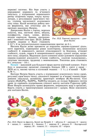нервової системи. Він бере участь у
передаванні нервового та м’язового
імпульсу, у підтриманні нормального
ритму скорочень серця, тонусу муску­
латури, у регулюванні кров’яного тис­
ку, ступеня кислотності шлункового
соку тощо. Калій активізує роботу низ­
ки ферментів, має сечогінну дію та
протидіє надлишку Натрію.
Джерелами Калію є горіхи, морська
капуста, мед, листкові овочі, яблука,
сухофрукти, горох, оливи, фініки,
печена картопля, банани, апельсино­
вий і томатний соки (рис. 33.2). Добова
потреба людини в Калії становить
Рис. 33.2. Х а р ч ові п р од ук ти - д ж е­
рела К ал ію
2-2,7 г й за інтелектуального навантаження зростає до 5 г.
Нестача Калію може призвести до порушень серцево-судинної діяль­
ності (аритмії), підвищення рівня холестерину, виникнення загальної
слабкості й нервозності, високої утомлюваності та безсоння, м’язової
слабкості, судом, спраги й непереносимості цукру, сухості шкіри, вугро­
вого сипу, закрепів. Надлишок цього елемента може зумовити порушення
серцево-судинної діяльності; м’язову слабкість, «калієве гальмування»,
сплутане мислення, труднощі з вимовлянням. Токсична доза становить
6 г; летальна - 14 г.
Натрій - важливий для більшості форм життя хімічний елемент. Уміст
його в людському організмі становить близько 100 г, уміст у крові -
1970 мг/л, масова частка в кістковій тканині —1 %; у м’язовій - 0,26-
0,78 %.
Катіони Натрію беруть участь у підтриманні осмотичного тиску крові,
регуляції кров’яного тиску, діяльності нервової та м’язової тканин (пере­
давання імпульсу), активному транспорті мембран (K/Na-насос). Солі
натрію (NaH2P04, NaHP04, NaHC03) входять до складу буферних систем
крові та сприяють підтриманню сталості вмісту катіонів Гідрогену (pH).
Нони Натрію активізують травні ферменти, затримують воду в організмі,
беруть участь у транспортуванні амінокислот і цукрів. Вони нівелюють
дію катіонів Калію.
Рис. 33.3. О вочі та ф р ук ти , багаті на Н атрій : 1 - я бл ук а ; 2 - авокадо; 3 - м анго;
4 - папая; 5 - ананас; 6 - банани; 7 - м ор к ва; 8 - редька; 9 - бол га р ськ и й
перец ь; 10 - том а ти ; 11 - к а п уста; 12 - огір к и
147
властивості
 