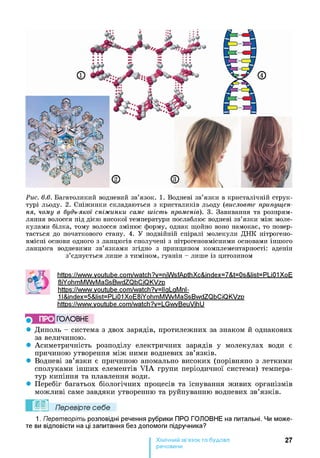 Рис. 6.6. Багатоликий водневий зв’язок. 1. Водневі зв’язки в кристалічній струк­
турі льоду. 2. Сніжинки складаються з кристаликів льоду (висловте припущен­
ня, чому в будь-якої сніж инки саме шість променів). 3. Завивання та розпрям­
ляння волосся під дією високої температури послаблює водневі зв’язки між моле­
кулами білка, тому волосся змінює форму, однак щойно воно намокає, то повер­
тається до початкового стану. 4. У подвійній спіралі молекули ДНК нітрогено-
вмісні основи одного з ланцюгів сполучені з нітрогеновмісними основами іншого
ланцюга водневими зв’язками згідно з принципом комплементарності: аденін
з’єднується лише з тиміном, гуанін - лише із цитозином
httPs://www.voutube.com/watch?v=niWsfApthXc&index=7&t=0s&list=PLi01XoE
8iYohmMWvMaSsBwdZQbCiQKVzp
httPs://www.voutube.com/watch?v=llaLaMnl-
1l&index=5&list=PLi01XoE8iYohmMWvMaSsBwdZQbCiQKVzp
httPs://www.voutube.com/watch?v=LGwvBeuVihU
ПРО ГОЛОВНЕ
• Диполь - система з двох зарядів, протилежних за знаком й однакових
за величиною.
• Асиметричність розподілу електричних зарядів у молекулах води є
причиною утворення між ними водневих зв’язків.
• Водневі зв’язки є причиною аномально високих (порівняно з леткими
сполуками інших елементів VIA групи періодичної системи) темпера­
тур кипіння та плавлення води.
• Перебіг багатьох біологічних процесів та існування живих організмів
можливі саме завдяки утворенню та руйнуванню водневих зв’язків.
Перевірте себе
1. Перетворіть розповідні речення рубрики ПРО ГОЛОВНЕ на питальні. Чи може­
те ви відповісти на ці запитання без допомоги підручника?
Хімічний зв’язок та будова
речовини
27
 
