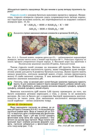 збільшується лужність середовища. Які два чинники в цьому випадку підсилюють гід­
роліз?
Гідроліз солей є основою багатьох важливих процесів у природі. Напри­
клад, гідроліз мінералів гірських порід супроводжується зміною каркас­
ної структури польових шпатів, які перетворюються на шаруваті глинисті
мінерали (рис. 1 1 .1):
K++AlSi3Og + НОН р. HAlSigOg + К++ ОН
AlSigOg + НОН р HAlSigOg + ОН
Рис. 11.1. 1. Польові шпати, зокрема ортоклаз (1), - найпоширеніші породотвірні
мінерали, масова частка яких у земній корі близько 50 % . Унаслідок гідролізу та
інших процесів утворюються осадові породи. 2. Каолінові шари над гранітами в
Полонському родовищі каолінів (Україна, Хмельниччина)
Також гідроліз солей упливає на показник pH ґрунтів. Висока луж­
ність, як і підвищена кислотність ґрунту, може створювати дуже неспри­
ятливі умови для росту й розвитку багатьох культур. Лужні ґрунти мають
низьку родючість, оскільки зазвичай важкі, в’язкі, погано пропускають
вологу й слабо насичені гумусом. У них високий уміст солей Кальцію й
зависоке значення показника pH.
Поясніть, чому: а) високий уміст солей Кальцію зумовлює підвищену лужність
ґрунту; б) для зниження лужності ґрунту використовують добриво амоній суль­
фат або обробляють ділянку водним розчином ферум(ІІ) сульфату, купрум(ІІ)
сульфату, алюміній сульфату, амоній нітрату.
Зависока кислотність (pH нижче 5,0) ґрунту призводить до того, що
багато поживних речовин переходять у стан, у якому їх не засвоюють
рослини. До того ж багато які з корисних бактерій припиняють життєді­
яльність за таких умов. Для зменшення кислотності використовують
калій карбонат - поташ (поясніть чому).
Цікаво і пізнавально
Якщо вирощувати гортензію на ділянці, де рі­
вень pH ґрунту становить 6,0-6,2, то на рослині роз­
пустяться рожеві квіти. Якщо ж знизити pH до 5,0—
5,2, то виростуть квіти з блакитними або фіолетови­
ми пелюстками. Ґрунт з pH між 5,5-6,0 зумовить
фіолетовий колір квітів або суміш рожевого і бла­
китного на одному кущі гортензії. Якщо полити ней­
тральний ґрунт слабким розчином ферум(ІІ) суль­
фату, гортензія забарвиться у фіолетовий (пояс­
ніть чому) колір (рис. 11.2). Рис. 11.2. pH має значення!
Хімічні реакціі 47
 