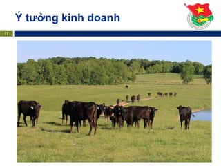 Ý tưởng kinh doanh
17
 