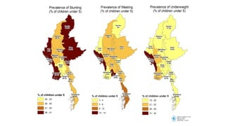 Linking Agriculture, Food Systems and Nutrition for Food and Nutrition Security in Myanmar 