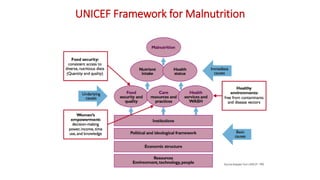 Linking Agriculture, Food Systems and Nutrition for Food and Nutrition Security in Myanmar 