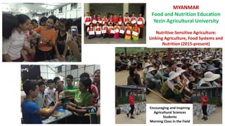 Linking Agriculture, Food Systems and Nutrition for Food and Nutrition Security in Myanmar 