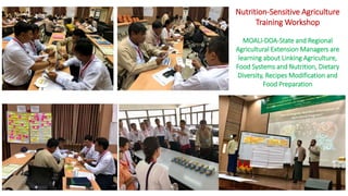 Linking Agriculture, Food Systems and Nutrition for Food and Nutrition Security in Myanmar 