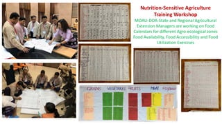 Linking Agriculture, Food Systems and Nutrition for Food and Nutrition Security in Myanmar 