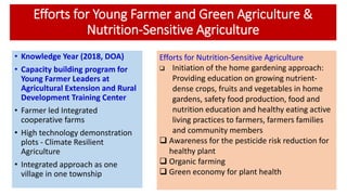 Linking Agriculture, Food Systems and Nutrition for Food and Nutrition Security in Myanmar 
