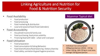 Linking Agriculture and Nutrition for
Food & Nutrition Security
• Food Availability
• Food production
• Food processing
• ...
