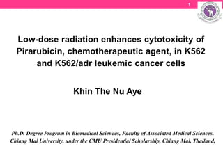 Low-dose radiation enhances cytotoxicity of
Pirarubicin, chemotherapeutic agent, in K562
and K562/adr leukemic cancer cells
Khin The Nu Aye
Ph.D. Degree Program in Biomedical Sciences, Faculty of Associated Medical Sciences,
Chiang Mai University, under the CMU Presidential Scholarship, Chiang Mai, Thailand,
1
 