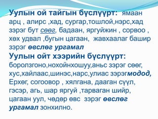 Уулын ой тайгын бүслүүрт: ямаан арц , алирс ,хад, сургар,тошлой,нэрс,хад  зэрэг бут сөөг, бадаан, яргуйжин , сорвоо , хөх удвал ,бугын цагаан,  жавхаалаг башир зэрэг өвслөг ургамал Уулын ойт хээрийн бүслүүрт: боролзгоно,нохойнхошуу,аньс зэрэг сөөг, хус,хайлаас,шинэс,нарс,улиас зэрэгмодод,Ерхөг, согоовор , хялгана, дааган сүүл, гэсэр, агь, шар яргуй ,тарваган шийр, цагаан уул, чөдөр өвс  зэрэг өвслөг ургамал зонхилно. 
