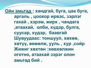 Ойн амьтад : хандгай, буга, цаа буга, аргаль , цоохор ирвэс, зэрлэг гахай , хэрэм, жирх , чандага ,атаахай,  олби, хүдэр, булга, суусар, хүдэр,  баавгай Шувуудаас: тоншуул, хөхөө, хөтүү, өвөөлж, ууль , хур ,сойр Жижиг хөхтөн :хөвхөлжин оготно, атаахай зэрэг олон амьтад бий .