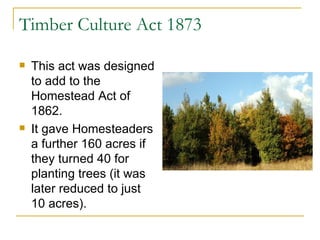 Timber Culture Act 1873 This act was designed to add to the Homestead Act of 1862. It gave Homesteaders a further 160 acres if they turned 40 for planting trees (it was later reduced to just 10 acres). 