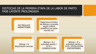 DISTOCIAS DE LA PRIMERA ETAPA DE LA LABOR DE PARTO
FASE LATENTE PROLONGADA
NO REALICE
AMNIOTOMIA
Determine el Indice
de Bishop y proceda
según criterio
obstétrico por parto
acorde con:
Bishop < 6
Maduración cervical.
Bishop > 6 y
actividad uterina <
3/10 =
CONDUCCION.
Bishop > 6 y
actividad uterina >
3/10 = EVOLUCION
ESPONTANEA.
 