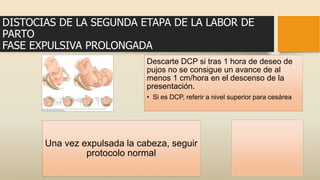 DISTOCIAS DE LA SEGUNDA ETAPA DE LA LABOR DE
PARTO
FASE EXPULSIVA PROLONGADA
Descarte DCP si tras 1 hora de deseo de
pujos no se consigue un avance de al
menos 1 cm/hora en el descenso de la
presentación.
• Si es DCP, referir a nivel superior para cesárea
Una vez expulsada la cabeza, seguir
protocolo normal
 