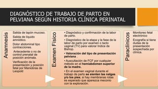 DIAGNÓSTICO DE TRABAJO DE PARTO EN
PELVIANA SEGÚN HISTORIA CLÍNICA PERINATAL
Anamnesis
Salida de tapón mucoso.
Salida de líquido
amniótico.
Dolor abdominal tipo
contracciones.
Antecedente o no de
control prenatal de
posición anómala.
Verificación de la
presentación y posición
fetal por Maniobras de
Leopold
ExamenFísico
• Diagnóstico y confirmación de la labor
de parto.
• Diagnóstico de la etapa y la fase de la
labor de parto por examen o tacto
vaginal (TV) para valorar Indice de
Bishop.
• Valoración del tipo de presentación
pelviana .
• Auscultación de FCF por cualquier
método en el hemiabdomen superior
de la madre.
• En el examen vaginal durante el
trabajo de parto se sienten las nalgas
y/o los pies; si hay membranas rotas
es esperado que aparezca meconio
con la exploración.
Paraclínicos
Monitoreo fetal
electrónico
Ecografía si tiene
dudas de la
presentación
sospechada por
clínica.
 