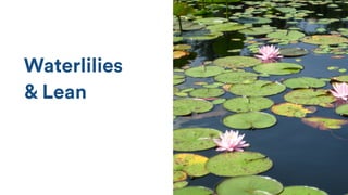 Waterlilies
& Lean
 