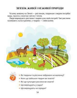 34
ЗВ’ЯЗОК ЖИВОЇ І НЕЖИВОЇ ПРИРОДИ
Усьому живому на Землі — рослинам, тваринам і людям потрібні
вода, ґрунти, сонячне світло і тепло.
Люди вирощують рослини і тварин для своїх потреб. Такі рослини
називають культурними, а тварин — свійськими.
• Які тварини та рослини зображені на малюнку?
• Яких ще свійських тварин ви знаєте?
• Які ще культурні рослини ви знаєте?
• Що вирощують у садах?
• Що вирощують на городах?
?
 