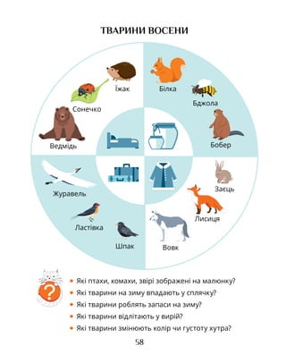 58
ТВАРИНИ ВОСЕНИ
• Які птахи, комахи, звірі зображені на малюнку?
• Які тварини на зиму впадають у сплячку?
• Які тварини роблять запаси на зиму?
• Які тварини відлітають у вирій?
• Які тварини змінюють колір чи густоту хутра?
?
Їжак
Сонечко
Ведмідь
Білка
Бобер
Вовк
Лисиця
Заєць
Ластівка
Шпак
Журавель
Бджола
 