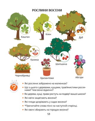 59
РОСЛИНИ ВОСЕНИ
• Які рослини зображено на малюнках?
• Що з цього є деревами, кущами, трав’янистими рос­ли­
нами? Чим вони відмінні?
• Які дерева, кущі, трави ростуть на подвір’ї вашої школи?
• Які квіти зацвітають восени?
• Які плоди дозрівають у садах восени?
• *Прочитайте слова пісні на наступній сторінці.
• Які овочі збирають на городах восени?
?
Каштан
Калина
Чорнобривці
Хризантеми
Клен
Дуб
Айстри
Шипшина
 
