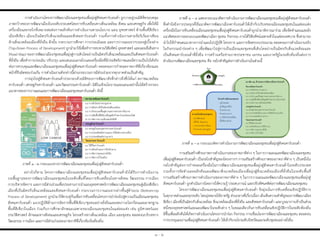๑ - ๒
การด่าเนินงานโครงการพัฒนาเมืองและชุมชนเพื่อมุ่งสู่สังคมคาร์บอนต่่า ถูกวางอยู่บนมิติที่ครอบคลุม
ภาพกว้างของการพัฒนาเมืองในระดับประเทศโดยการขับเคลื่อนทางสิ่งแวดล้อม สังคม และเศรษฐกิจ เพื่อให้มี
เครื่องมือและกลไกที่เหมาะสมต่อการผลักดันการด่าเนินงานตามนโยบาย แผน ยุทธศาสตร์ ด้านพื้นที่สีเขียว
เมืองสีเขียว เมืองเป็นมิตรกับสิ่งแวดล้อมและสังคมคาร์บอนต่่า รวมทั้งการด่าเนินงานตามข้อริเริ่มอาเซียน
ด้านสิ่งแวดล้อมเมืองที่ยั่งยืน ดังนั้น กระบวนการศึกษา การประเมินผล และการวางแผนจากบนลงสู่เบื้องล่าง
(Top-Down Process of Development) ถูกน่ามาใช้เพื่อท่าการทบทวนวิสัยทัศน์ ยุทธศาสตร์ และแผนที่เส้นทาง
(Road Map) ของการพัฒนาเมือง/ชุมชนเพื่อมุ่งสู่การเติบโตอย่างเป็นมิตรกับสิ่งแวดล้อมและเป็นสังคมคาร์บอนต่่า
ที่ยั่งยืน เพื่อท่าการประเมิน ปรับปรุง และเสนอแนะกลไกและเครื่องมือที่มีประสิทธิภาพและมีความเป็นไปได้จริง
ต่อการควบคุมและพัฒนาเมืองและชุมชนเพื่อมุ่งสู่สังคมคาร์บอนต่่า ตลอดจนการก่าหนดภาคภาคีที่เกี่ยวข้องและ
หน้าที่รับผิดชอบร่วมกัน การด่าเนินงานดังกล่าวนี้ผ่านกระบวนการมีส่วนร่วมจากทุกภาคส่วนเป็นส่าคัญ
การมุ่งไปสู่สังคมคาร์บอนต่่าประกอบด้วยมิติของการพัฒนาดังที่กล่าวถึงซึ่งได้แก่ สภาพแวดล้อม
คาร์บอนต่่า เศรษฐกิจคาร์บอนต่่า และวัฒนธรรมคาร์บอนต่่า มิติในเชิงนโยบายและแผนเหล่านั้นได้สร้างกรอบ
แนวทางของการวางแผนและการพัฒนาเมืองและชุมชนคาร์บอนต่่า ดังนี้
ภาพที่ ๑ - ๒ กรอบแนวทางการพัฒนาเมืองและชุมชนเพื่อมุ่งสู่สังคมคาร์บอนต่่า
อย่างไรก็ตาม โครงการพัฒนาเมืองและชุมชนเพื่อมุ่งสู่สังคมคาร์บอนต่่ายังได้รับการด่าเนินงาน
บนพื้นฐานของการพัฒนาเมืองและชุมชนในระดับพื้นที่โดยการขับเคลื่อนในทางสังคม วัฒนธรรม การเมือง
การบริหารจัดการ และการมีส่วนร่วมเพื่อประสานการน่าแผนยุทธศาสตร์การพัฒนาเมืองและชุมชนสู่เมืองสีเขียว
เมืองที่เป็นมิตรกับสิ่งแวดล้อมและสังคมคาร์บอนต่่า กระบวนการวางแผนจากล่างขึ้นสู่ด้านบน (Bottom-Up
Process of Development) ถูกน่ามาใช้ควบคู่กันเพื่อการขับเคลื่อนโครงการน่าร่องไปสู่ความเป็นเมืองและชุมชน
สังคมคาร์บอนต่่า แนวปฏิบัติด้านการจัดการพื้นที่สีเขียว/ชุมชนอย่างยั่งยืนและลดภาวะโลกร้อนและมาตรฐาน
พื้นที่สีเขียวในเมือง ร่วมกับการศึกษาลักษณะเฉพาะของเมืองและชุมชนในแต่ละแห่ง เช่น ภูมิศาสตร์และ
ประวัติศาสตร์ ลักษณะทางสังคมและเศรษฐกิจ โครงสร้างทางสิ่งแวดล้อม เมือง และชุมชน ตลอดจนบริบททาง
วัฒนธรรม การเมือง และการมีส่วนร่วมของภาคภาคีที่เกี่ยวข้องในท้องถิ่น
ภาพที่ ๑ – ๓ แสดงกรอบแนวคิดการด่าเนินงานการพัฒนาเมืองและชุมชนเพื่อมุ่งสู่สังคมคาร์บอนต่่า
ซึ่งค่านึงถึงการประยุกต์ใช้แนวคิดการพัฒนาเมืองคาร์บอนต่่าให้เข้ากับบริบทของเมืองและชุมชนในแต่ละแห่ง
เครื่องมือในการขับเคลื่อนเมืองและชุมชนเพื่อมุ่งสู่สังคมคาร์บอนต่่าถูกน่ามาพิจารณาร่วม เพื่อจัดท่าแผนและผัง
แนวคิดของการออกแบบและพัฒนาเมือง ชุมชน กิจกรรม ภายใต้วิสัยทัศน์เฉพาะตัวในแต่ละเทศบาล ซึ่งสามารถ
น่าไปใช้ก่าหนดแนวทางการน่าแผนไปปฏิบัติ โครงการ และการจัดสรรงบประมาณ ตลอดจนการด่าเนินงานจริง
ในกิจกรรมน่าร่องต่าง ๆ เพื่อพัฒนาไปสู่การเป็นเมืองและชุมชนที่เติบโตอย่างเป็นมิตรกับสิ่งแวดล้อมและ
เป็นสังคมคาร์บอนต่่าที่ยั่งยืน การสร้างเครือข่ายภาคประชาชน เอกชน และภาครัฐในระดับท้องถิ่นต่อการ
ด่าเนินงานพัฒนาเมืองและชุมชน คือ กลไกส่าคัญต่อการด่าเนินงานในส่วนนี้
ภาพที่ ๑ – ๓ กรอบแนวคิดการด่าเนินงานการพัฒนาเมืองและชุมชนเพื่อมุ่งสู่สังคมคาร์บอนต่่า
การเสริมสร้างศักยภาพการด่าเนินงานของภาคภาคีต่าง ๆ ในการวางแผนและพัฒนาเมืองและชุมชน
เพื่อมุ่งสู่สังคมคาร์บอนต่่า เป็นกลไกส่าคัญของโครงการฯ การเสริมสร้างศักยภาพของภาคภาคีต่าง ๆ เป็นหนึ่งใน
กลไกส่าคัญต่อการก่าหนดเครื่องมือในการพัฒนาเมืองและชุมชนเพื่อมุ่งสู่สังคมคาร์บอนต่่าในระดับประเทศ
รวมทั้งการจัดท่าและผลักดันแผนพัฒนาสิ่งแวดล้อมเมืองเพื่อมุ่งสู่สิ่งแวดล้อมเมืองที่ยั่งยืนในระดับพื้นที่
การเสริมสร้างศักยภาพการด่าเนินงานของภาคภาคีต่าง ๆ ในการวางแผนและพัฒนาเมืองและชุมชนเพื่อมุ่งสู่
สังคมคาร์บอนต่่า ถูกด่าเนินการโดยการให้ความรู้ ประสบการณ์ และปรับทัศนคติต่อการพัฒนาเมืองและชุมชน
โครงการพัฒนาเมืองและชุมชนเพื่อมุ่งสู่สังคมคาร์บอนต่่า จึงมุ่งเน้นการขับเคลื่อนเชิงปฏิบัติการ
ในทุกภาคส่วนและทุกระดับ โดยมุ่งหมายให้ภาครัฐ ส่วนกลางที่เกี่ยวเนื่อง เล็งเห็นความส่าคัญของการพัฒนาเมือง
สีเขียว เมืองที่เป็นมิตรกับสิ่งแวดล้อม สิ่งแวดล้อมเมืองที่ยั่งยืน และสังคมคาร์บอนต่่า และบูรณาการเข้าเป็นส่วน
หนึ่งของยุทธศาสตร์และแผนพัฒนาในระดับต่าง ๆ ในขณะเดียวกันการขับเคลื่อนเชิงปฏิบัติการในระดับท้องถิ่น
มีขึ้นเพื่อผลักดันให้เกิดการด่าเนินงานโครงการน่าร่อง กิจกรรม การเชื่อมโยงการพัฒนาเมืองและชุมชน ตลอดจน
การบรรจุแผนงานเพื่อมุ่งสู่สังคมคาร์บอนต่่า ให้เข้ากับกลไกระดับจังหวัดและระดับชุมชนอย่างยั่งยืน
สภำพแวดล้อมคำร์บอนต่ำ
เศรษฐกิจคำร์บอนต่ำ
วัฒนธรรมคำร์บอนต่ำ
(๑) การเติบโตอย่างชาญฉลาด
(๒) การเดินทางที่เป็นมิตรต่อสิ่งแวดล้อม
(๓) การรักษาและฟื้นฟูความหลากหลายทางชีวภาพ
(๔) การเพิ่มพื้นที่สีเขียวเพื่อดูดซับก๊าซคาร์บอนไดออกไซด์
(๕ )การจัดการความเสี่ยงต่อภัยพิบัติ
(๑) เศรษฐกิจและอุตสาหกรรมคาร์บอนต่่า
(๒) การประหยัดพลังงานและการใช้พลังงานทางเลือก
(๓) การประหยัดพลังงานอาคาร
(๑) วิถีชีวิตคาร์บอนต่่า
(๒) การเดินเท้าและการปั่นจักรยาน
(๓) การจัดการขยะอย่างยั่งยืน
(๔) การจัดการน้่าในเมือง
 