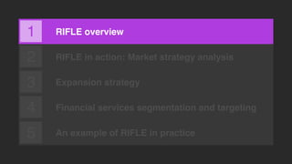RIFLE overview
RIFLE in action: Market strategy analysis
Expansion strategy
Financial services segmentation and targeting
...