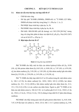 CHƯƠNG 3. KẾT QUẢ VÀ THẢO LUẬN
3.1. Khảo sát cấu trúc hóa học của hợp chất H-A7
- Chất bột màu vàng.
- Dữ liệu phổ 1
H-NMR (500MHz, DMSO-d6) và 13
C-NMR (125 MHz,
DMSO-d6) được trình bày trong bảng 3.1. (Phụ lục 1, 1a, 2)
- Phổ HSQC được trình bày ở phụ lục 3a, 3b.
- Phổ HMBC được trình bày ở phụ lục 4a, 4b, 4c.
- Phổ khối: HR-ESI-MS (chế độ dương): m/z 543.1258 [M+Na]+
tương
ứng với công thức phân tử được xác định là (C28H24O10+Na) (543.1267)
với sai số là 0.9o
/oo. (Phụ lục 5)
 Biện luận cấu trúc H-A7
Hình 3.1 Công thức hợp chất H-A7
Phổ 1
H-NMR cho thấy một tín hiệu của nhóm hydroxyl kiềm nối [δH 10.94
(1H, s)], bốn proton nhân thơm [δH 8.65 (1H, s), 8.08 (1H, s), 7.47 (1H, s), 6.59 (1H,
s)], hai nhóm methoxy [δH 3.95 (3H, s), 3.85 (3H, s)], bốn nhóm methyl gắn trên nhân
thơm [δH2.55 (3H, s), 2.50 (3H, s), 2.43 (3H, s), 2.19 (3H, s)].
Phổ 13
C-NMR cho thấy hợp chất H-A7 có 28 carbon trong đó: một nhóm ceton
δC 186.1 (-C=O), ba nhóm carbonyl [δC 169.0, 168.0, 165.1] (-COO), hai nhóm
methoxy [δC 52.1, 51.3] (-OCH3), bốn nhóm methyl gắn trên nhân thơm [δC 21.2,
15.3, 15.0, 8.2] (-CH3) và các carbon của nhân thơm. Ngoài ra, phổ 13
C-NMR có tín
hiệu của một nhóm ceton δC 186.1(-C=O) và 4 carbon gắn O ở C-2 (δC 158.0 ), C-4a
(δC 158.6 ), C-5a (δC 155.6), C-6 (δC 154.3) chứng tỏ hợp chất H-A7 phải chứa khung
xanthone.
Phổ HSQC cho thấy tương quan một nối giữa proton nhân thơm δH 8.65, 8.08,
7.47, 6.59 lần lượt với carbon δC 144.8, 121.0, 106.7, 111.7; proton methoxy δH 3.99,
 