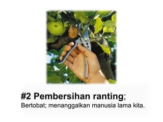 #2 Pembersihan ranting; Bertobat; menanggalkan manusia lama kita.