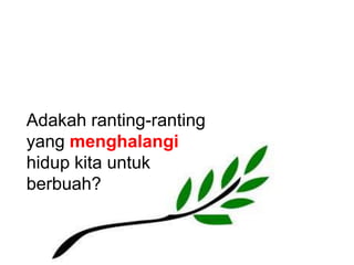 Adakah ranting-ranting yang menghalangihidup kita untuk berbuah?