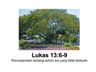 Lukas 13:6-9Perumpamaan tentang pohon ara yang tidak berbuah