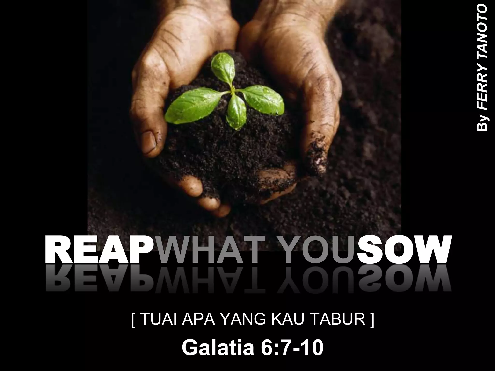 By FERRY TANOTOREAPWHAT YOUSOW[ TUAI APA YANG KAU TABUR ]Galatia 6:7-10